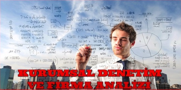 Kurumsal Denetim ve Firma Analizi